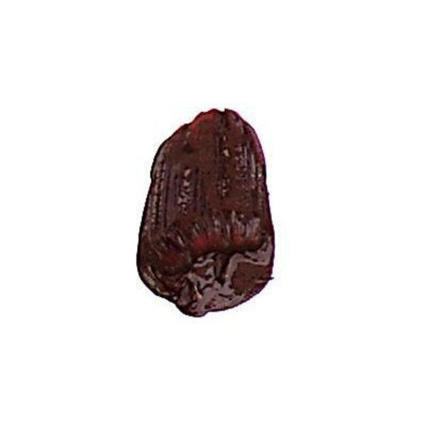 Tri-Art Liquid Acrylic Paint : Permanent Maroon