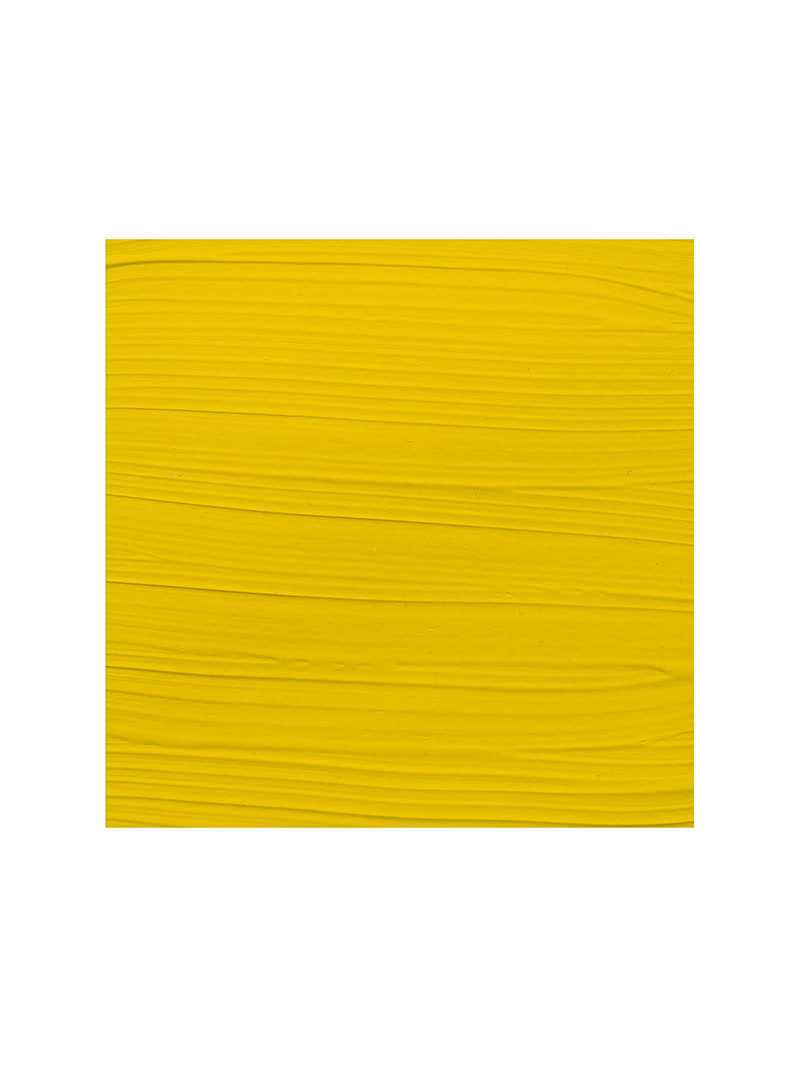 Amsterdam Expert Acrylic Paints : 208 Cadmium Yellow Light