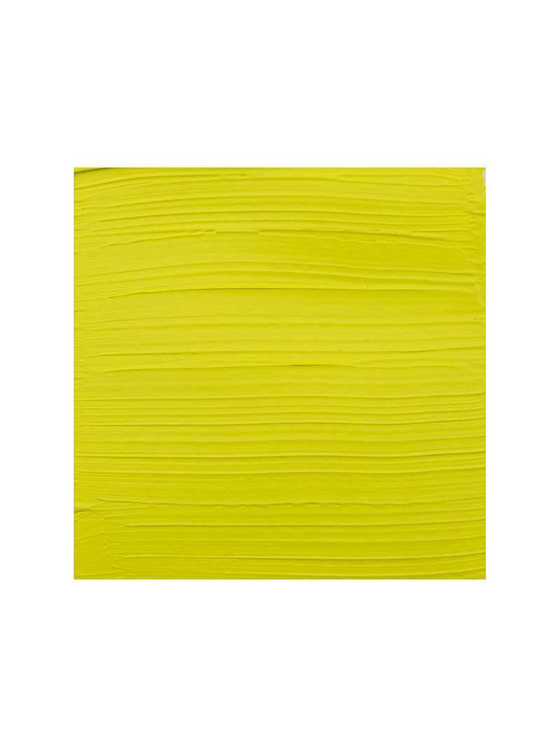 Amsterdam Expert Acrylic Paints : 219 Greenish Yellow Light