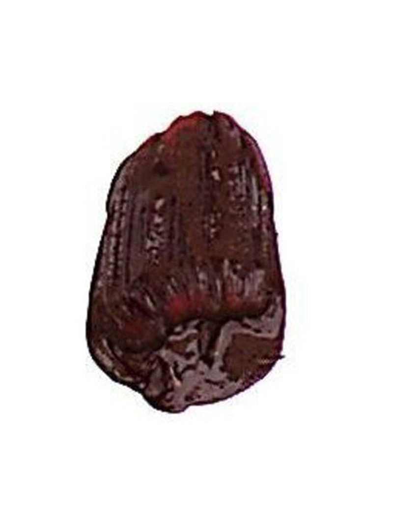 Tri-Art Liquid Acrylic Paint : Permanent Maroon